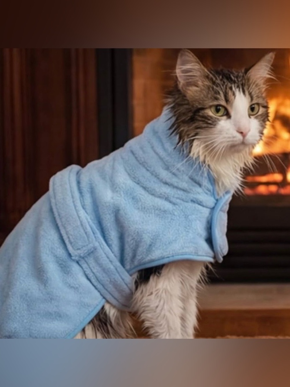💞 New Large Soft Blue Puppy Dog & Cat Quick Drying Super Absorbent Bath Robe